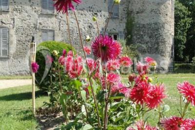 Location salle Lavault-Sainte-Anne (Allier) - Domaine De Bisseret #19