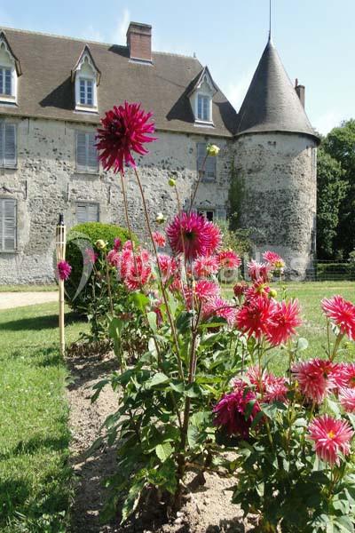 Domaine De Bisseret - galerie - photo 3