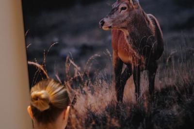 Location salle Lierneux (Liège) - Le Domaine de Bra #31