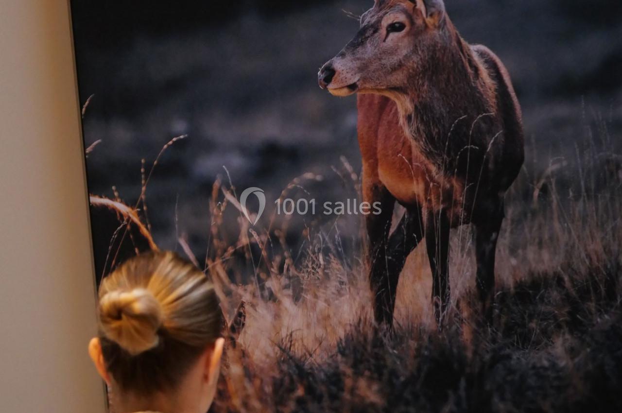 Location salle Lierneux (Liège) - Le Domaine de Bra #25