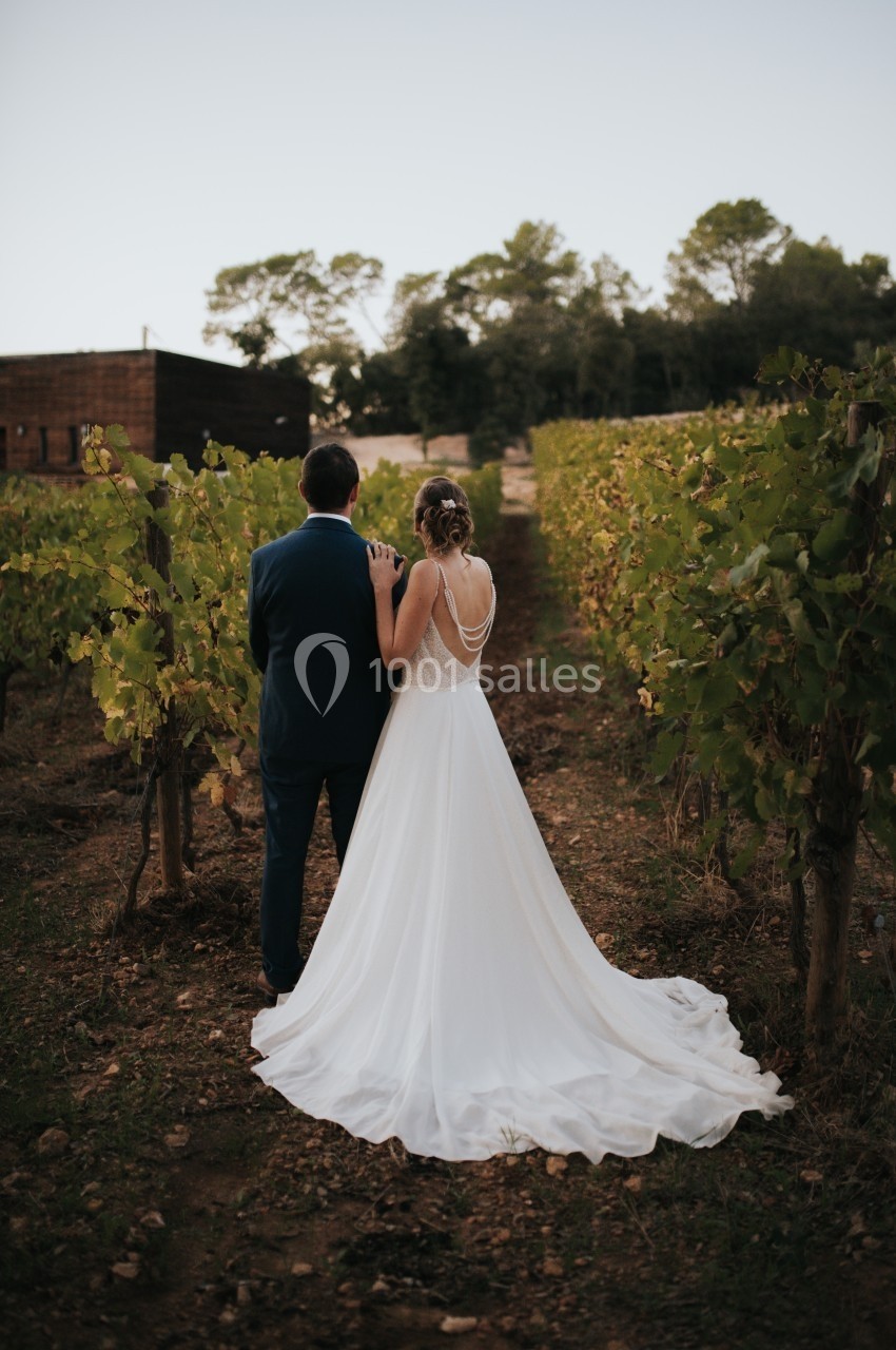 Un couple de dos, en tenue de mariage, se tient dans un vignoble au coucher du soleil.