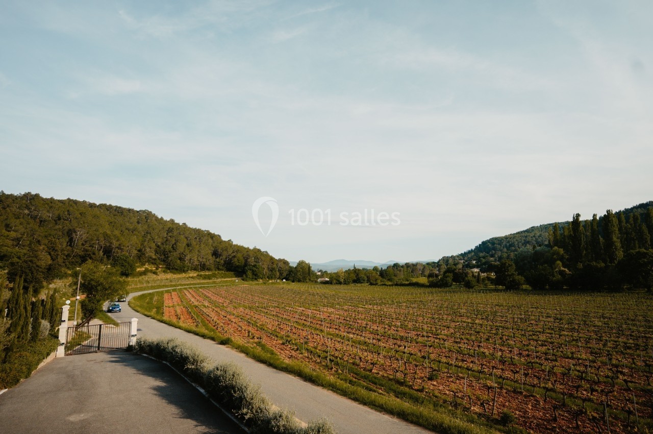 Route bordée de vignes et de collines verdoyantes sous un ciel dégagé.