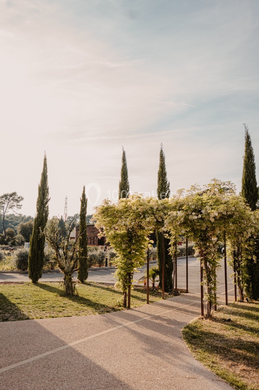 Allée bordée de cyprès et pergola végétalisée dans un jardin sous un ciel dégagé en fin de journée.