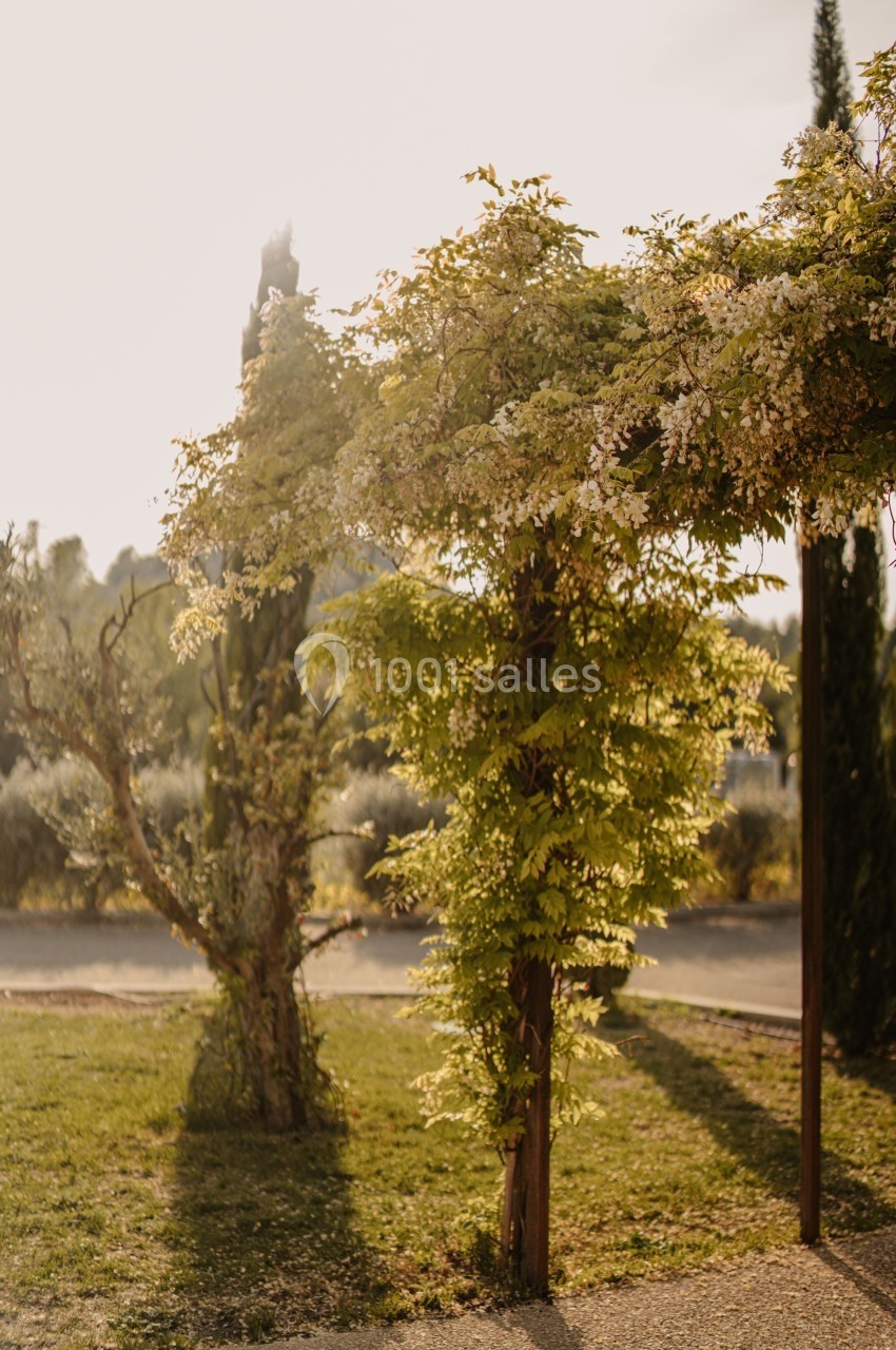 Pergola en bois recouverte de plantes grimpantes fleuries, éclairée par une lumière douce en fin de journée.