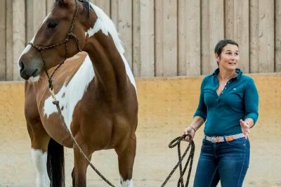 Cheval beige franchissant un obstacle en mousse verte dans un manège, tenu en longe par une personne.