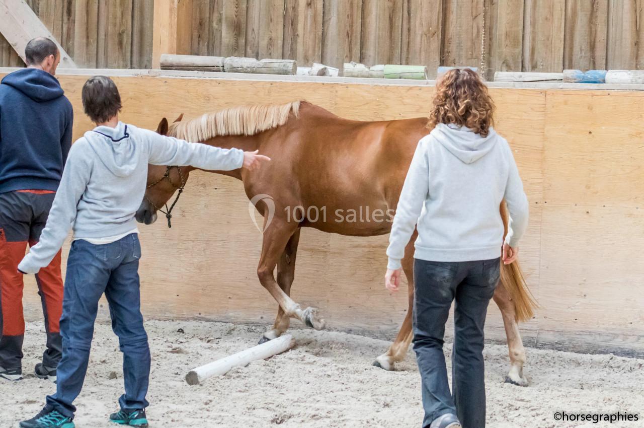 Trois personnes guident un cheval alezan dans un manège, lui faisant franchir une barre au sol.