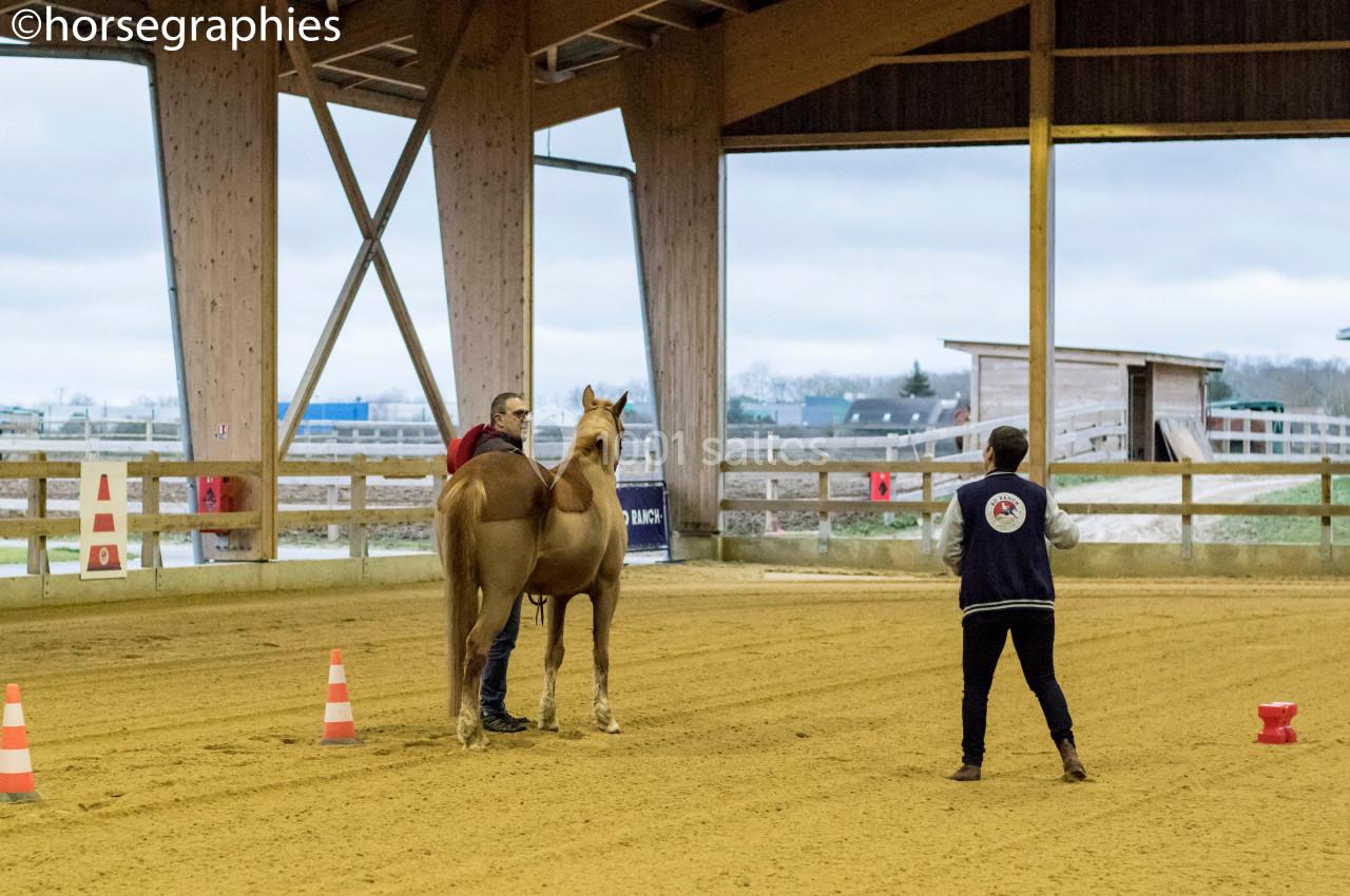 Un cheval tenu par une personne dans un manège, observé par une autre personne en tenue d'équitation.