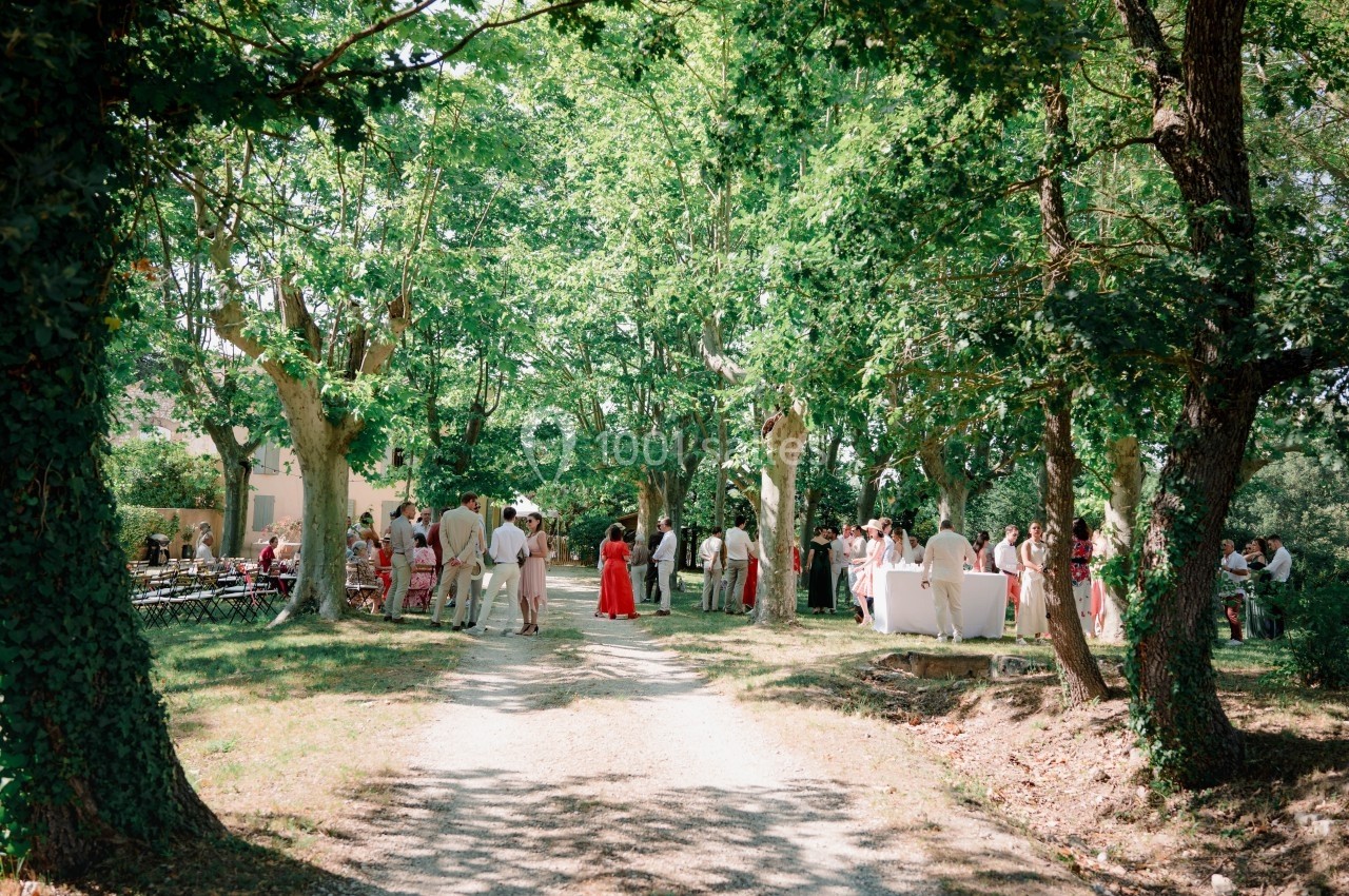 Groupe de personnes rassemblées dans un jardin ombragé entouré d'arbres, lors d'un événement en plein air.