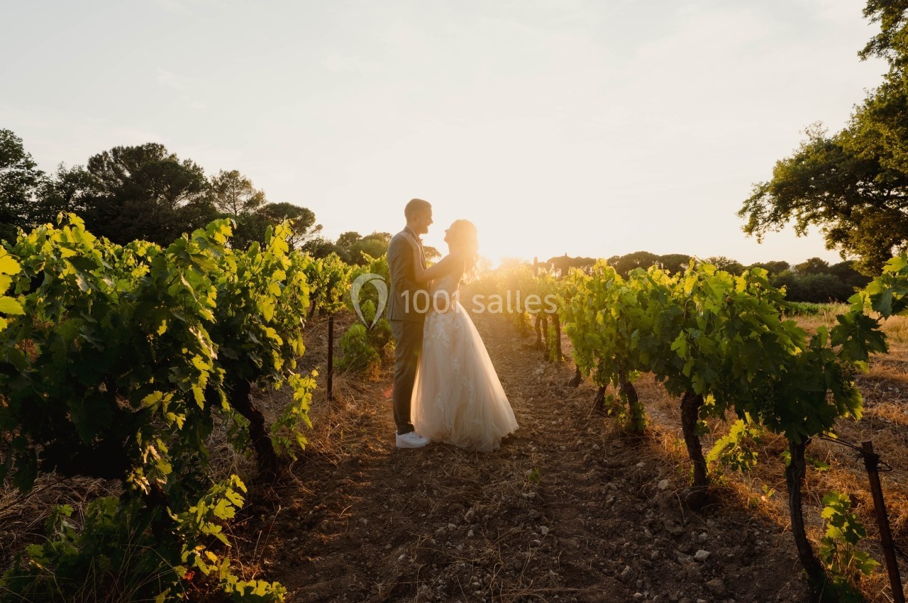 Un couple se tient dans un vignoble au coucher du soleil, entouré de rangées de vignes verdoyantes.