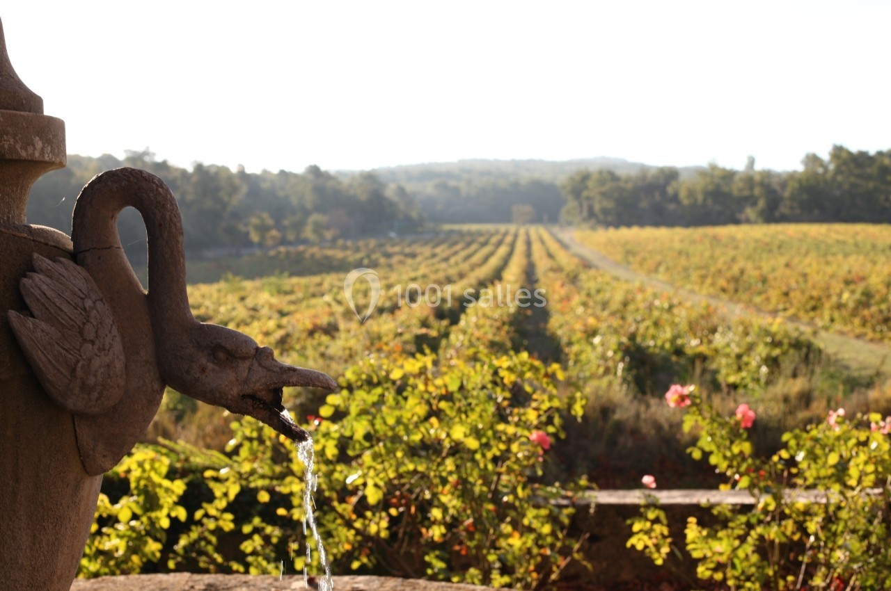 Fontaine en pierre ornée d'un cygne, avec en arrière-plan des rangées de vignes sous un ciel clair.