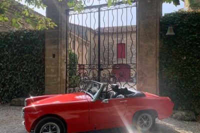 Deux fauteuils en cuir disposés près d'un poêle à bois dans une pièce au mur en bois décorée de cadres et d'une tête d'ours.