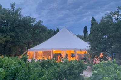 Deux fauteuils en cuir disposés près d'un poêle à bois dans une pièce au mur en bois décorée de cadres et d'une tête d'ours.