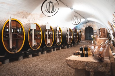 Deux fauteuils en cuir disposés près d'un poêle à bois dans une pièce au mur en bois décorée de cadres et d'une tête d'ours.