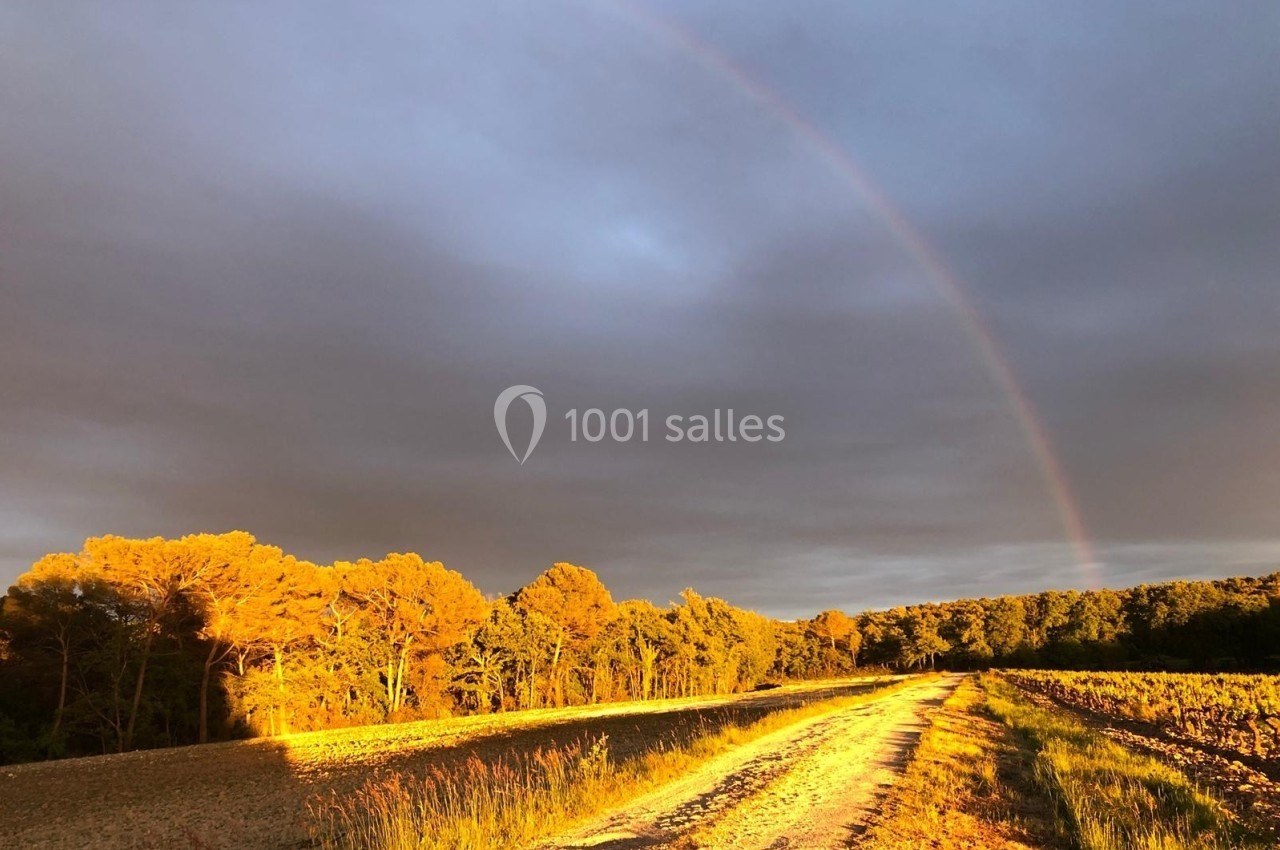Chemin de terre bordé de champs et d'arbres au coucher du soleil, avec un arc-en-ciel sous un ciel nuageux.