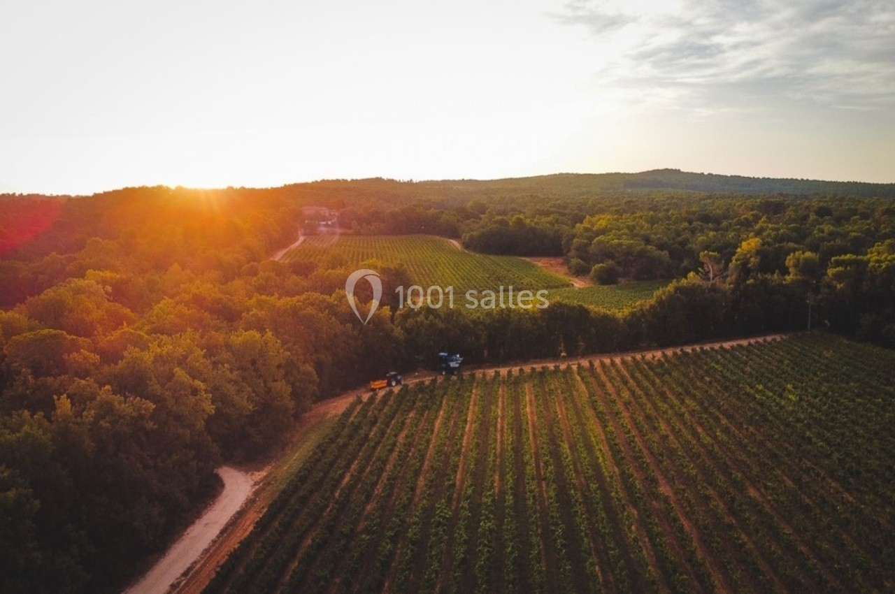 Vue aérienne d'un vignoble entouré de forêts au coucher du soleil, avec un chemin de terre traversant le paysage.