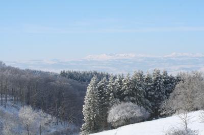 Miniature Location salle Saint-Quentin-sur-Sauxillanges (Puy-de-Dôme) - Goulapie #16 Location salle Saint-Quentin-sur-Sauxillanges (Puy-de-Dôme) - Goulapie #17