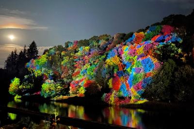 Miniature Vos Nuits Etoilées #5 Voiliers amarrés dans un port de nuit, éclairés par des lumières rouges et vertes.