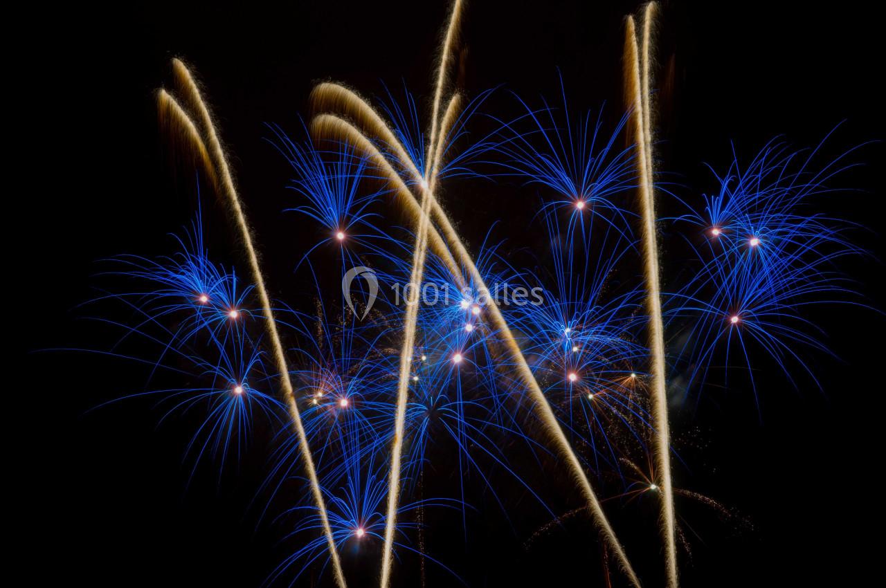 Feux d'artifice avec des traînées dorées et des éclats bleus sur un fond de nuit noire.