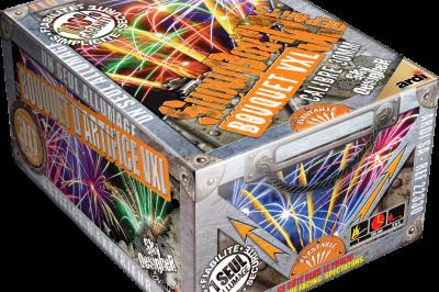 Boîte de feu d'artifice portable dorée avec illustrations de feux d'artifice et informations sur le produit.