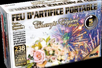 Boîte de feu d'artifice portable dorée avec illustrations de feux d'artifice et informations sur le produit.