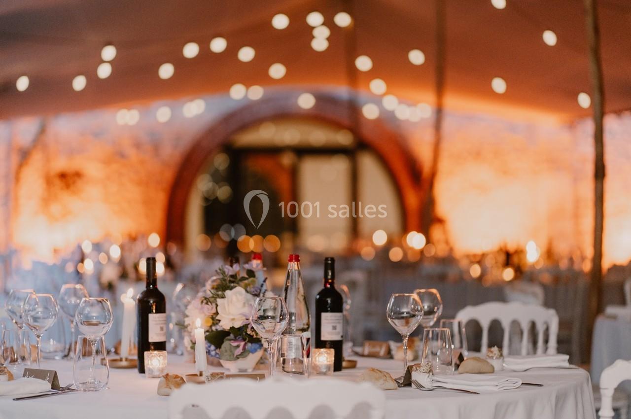 Location salle Lamotte-du-Rhône (Vaucluse) - Château des Barrenques #6