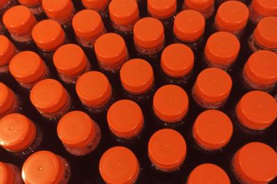 Miniature Traiteur Épinal (Vosges) - Cap sur L'Afrique #18 Traiteur Épinal (Vosges) - Cap sur L'Afrique #37