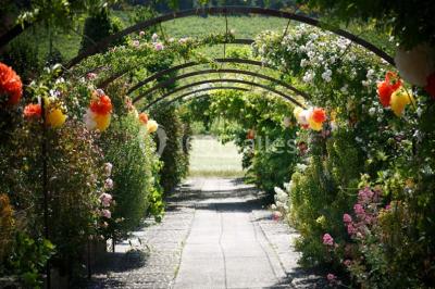 Miniature Location salle Pertuis (Vaucluse) - Château Val Joanis #2 Location salle Pertuis (Vaucluse) - Château Val Joanis #24