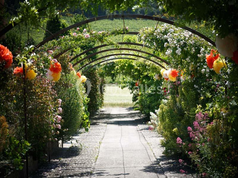 Location salle Pertuis (Vaucluse) - Château Val Joanis #2