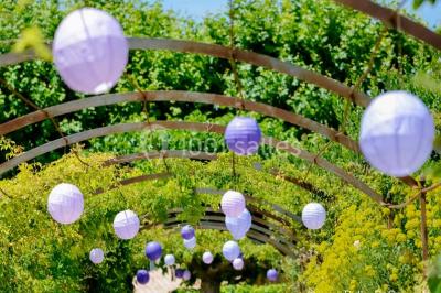 Miniature Location salle Pertuis (Vaucluse) - Château Val Joanis #15 Location salle Pertuis (Vaucluse) - Château Val Joanis #24