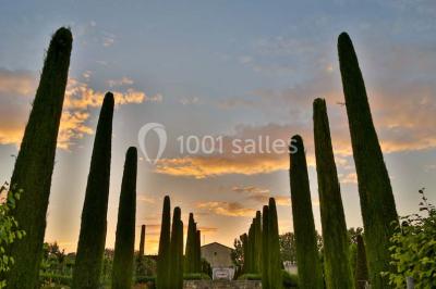 Miniature Location salle Pertuis (Vaucluse) - Château Val Joanis #18 Location salle Pertuis (Vaucluse) - Château Val Joanis #24