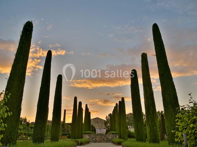 Location salle Pertuis (Vaucluse) - Château Val Joanis #18