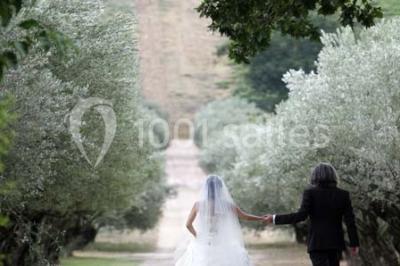 Miniature Location salle Pertuis (Vaucluse) - Château Val Joanis #22 Location salle Pertuis (Vaucluse) - Château Val Joanis #24