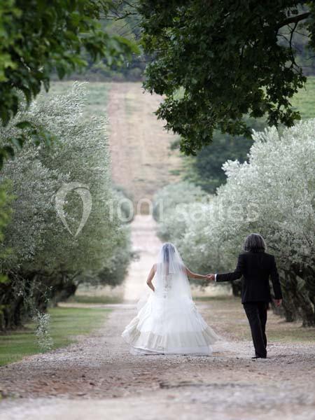 Location salle Pertuis (Vaucluse) - Château Val Joanis #22