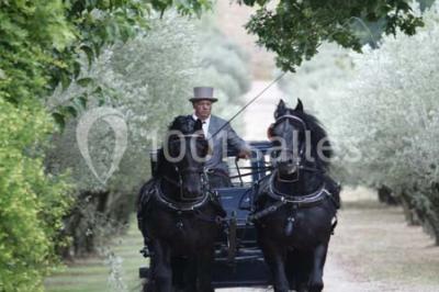 Miniature Location salle Pertuis (Vaucluse) - Château Val Joanis #23 Location salle Pertuis (Vaucluse) - Château Val Joanis #24