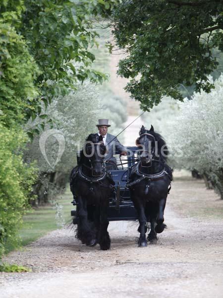 Location salle Pertuis (Vaucluse) - Château Val Joanis #23