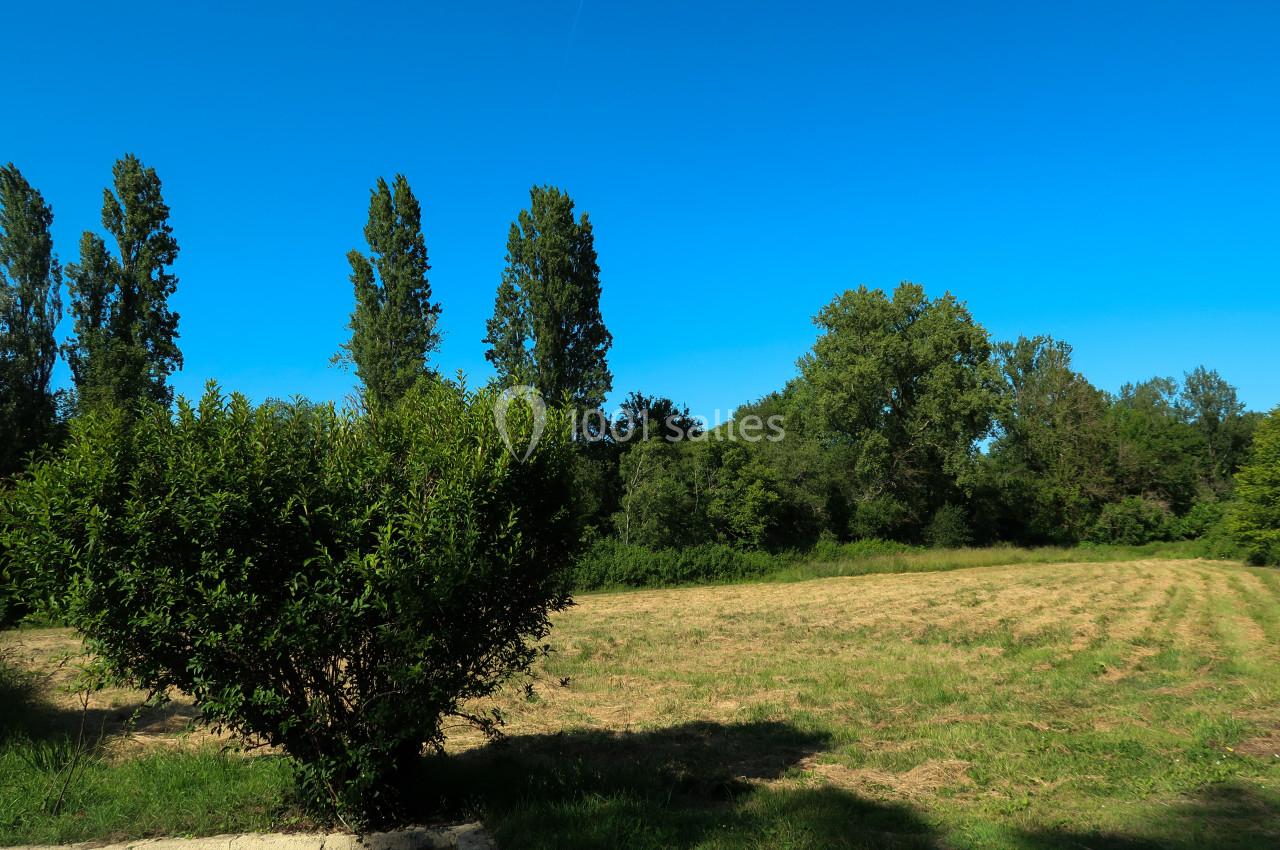 Paysage rural avec un champ fraîchement fauché, des arbres en arrière-plan et un ciel bleu dégagé.