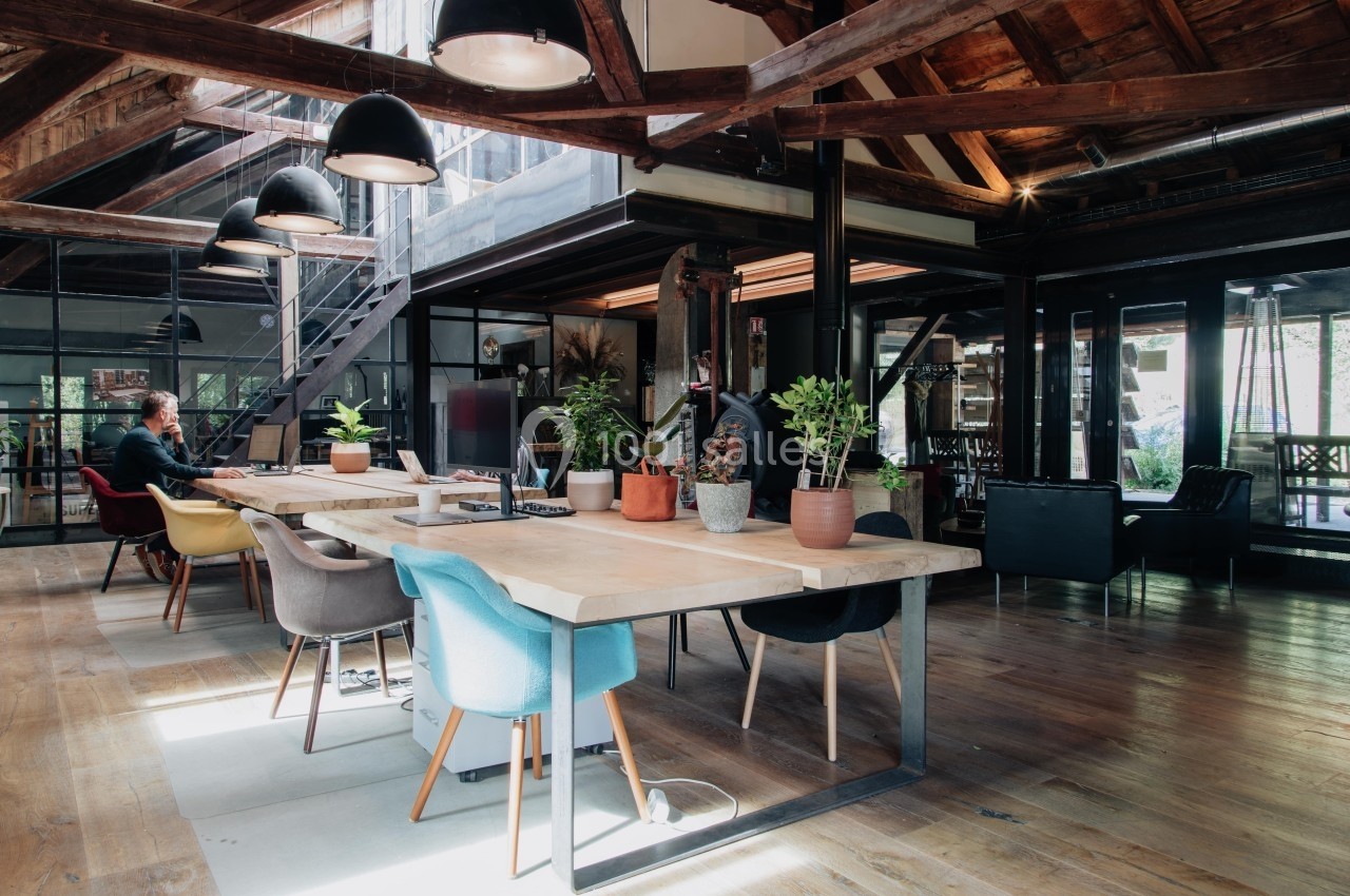 Espace de travail lumineux avec de grandes tables en bois, des plantes et un plafond en poutres apparentes.