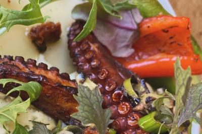 Miniature Traiteur Nice (Alpes-Maritimes) - Boeuf Traiteur #27 Homme en veste de chef blanche, debout devant une architecture en pierre et des grilles métalliques.