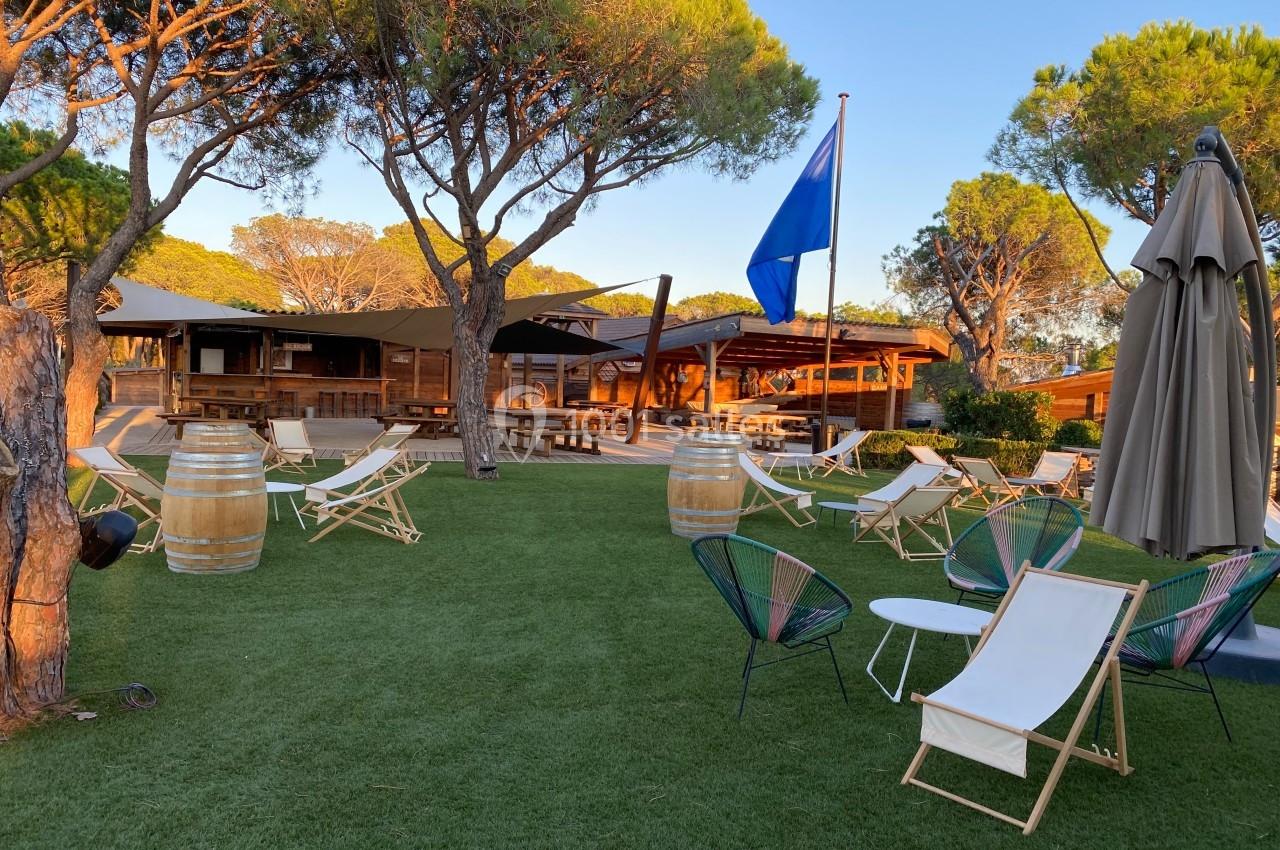 Espace extérieur avec chaises longues, parasols et bar en bois, entouré de pelouse et de pins sous un ciel dégagé.