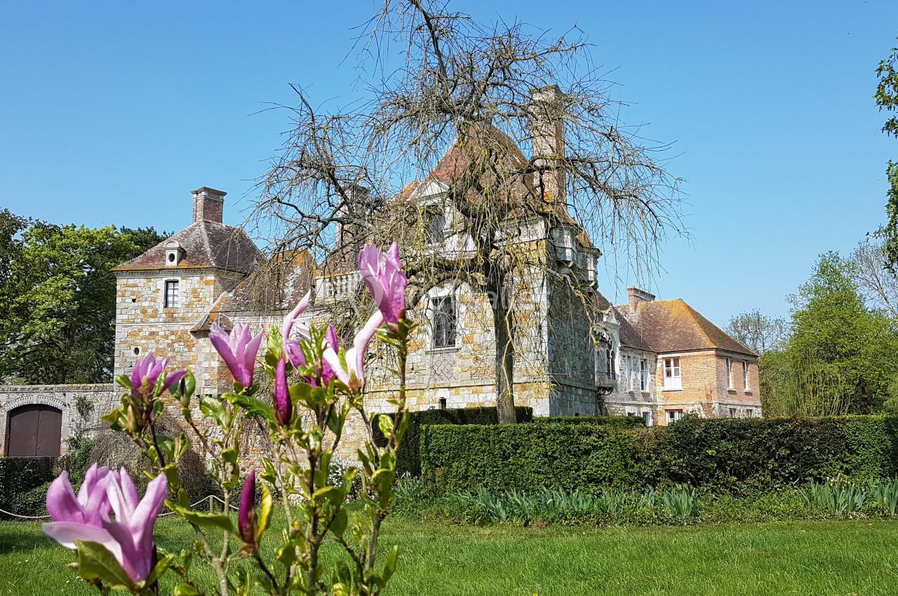 Château du Blanc-Buisson - galerie - photo 23