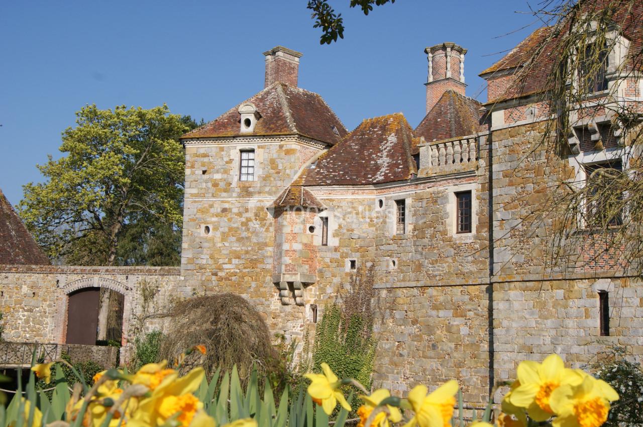 Château du Blanc-Buisson - galerie - photo 27