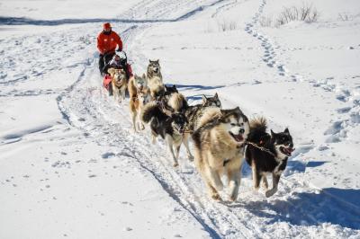 Vue aérienne d'une place animée avec des stands, une statue centrale et des bâtiments historiques environnants.