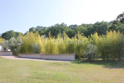 Miniature Location salle Breux-Jouy (Essonne) - Domaine De La Patulière - Espace La Renarde #20 Location salle Breux-Jouy (Essonne) - Domaine De La Patulière - Espace La Renarde #24