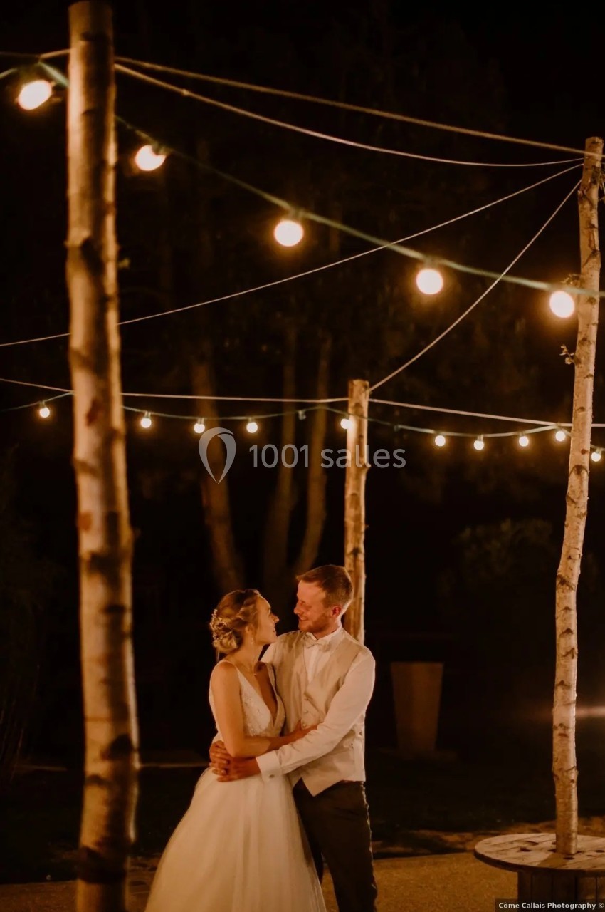 Un couple en tenue de mariage se tient sous des guirlandes lumineuses suspendues entre des troncs d'arbres, de nuit.