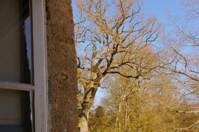Château de la Garlais  - photo 5
