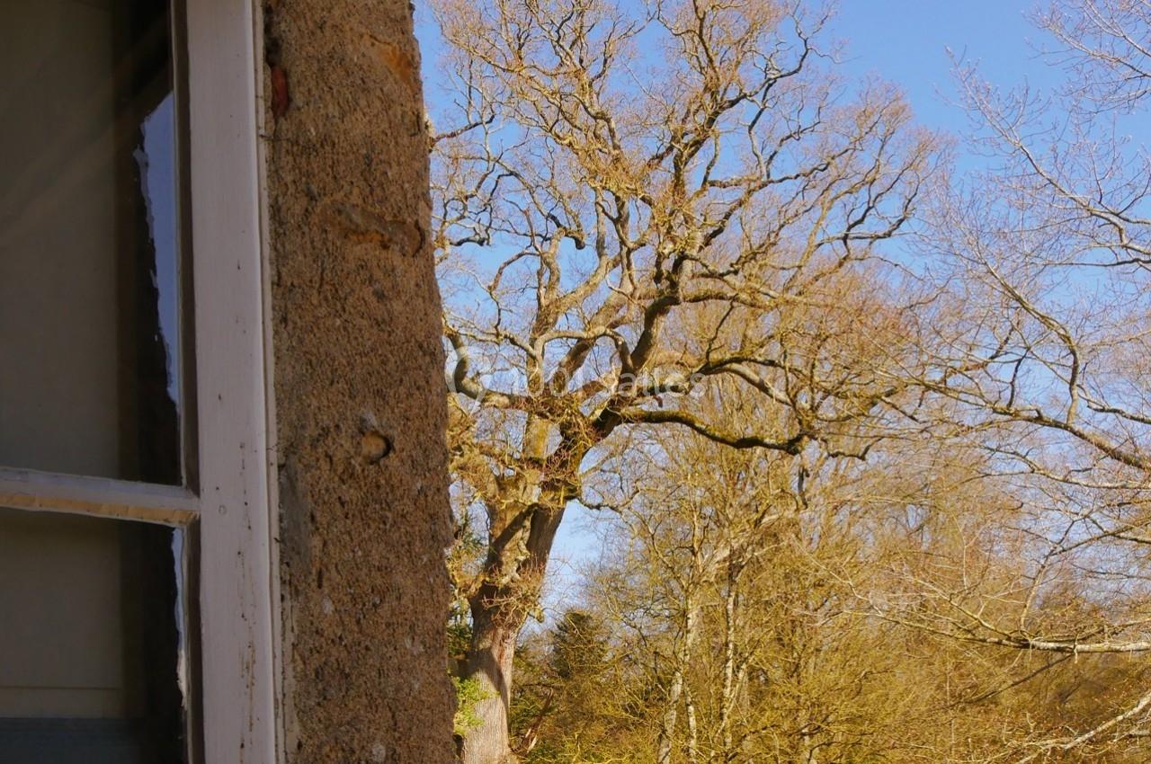 Château de la Garlais - galerie - photo 5
