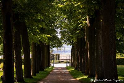 Domaine de Montclair - photo 3