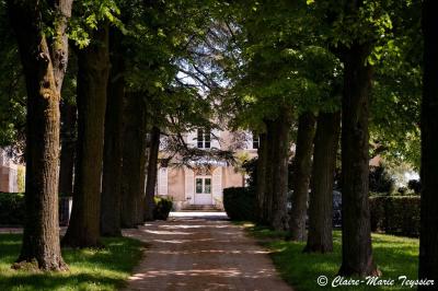 Domaine de Montclair - photo 4