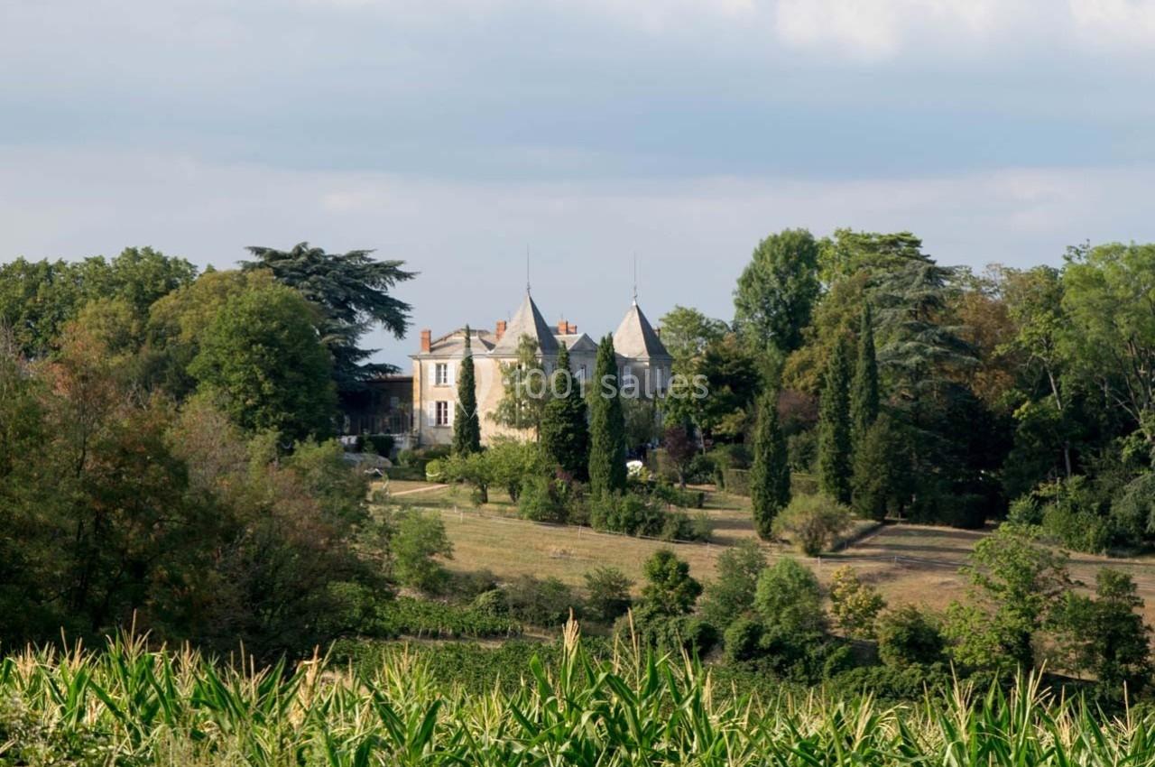 Domaine de Montclair - galerie - photo 50