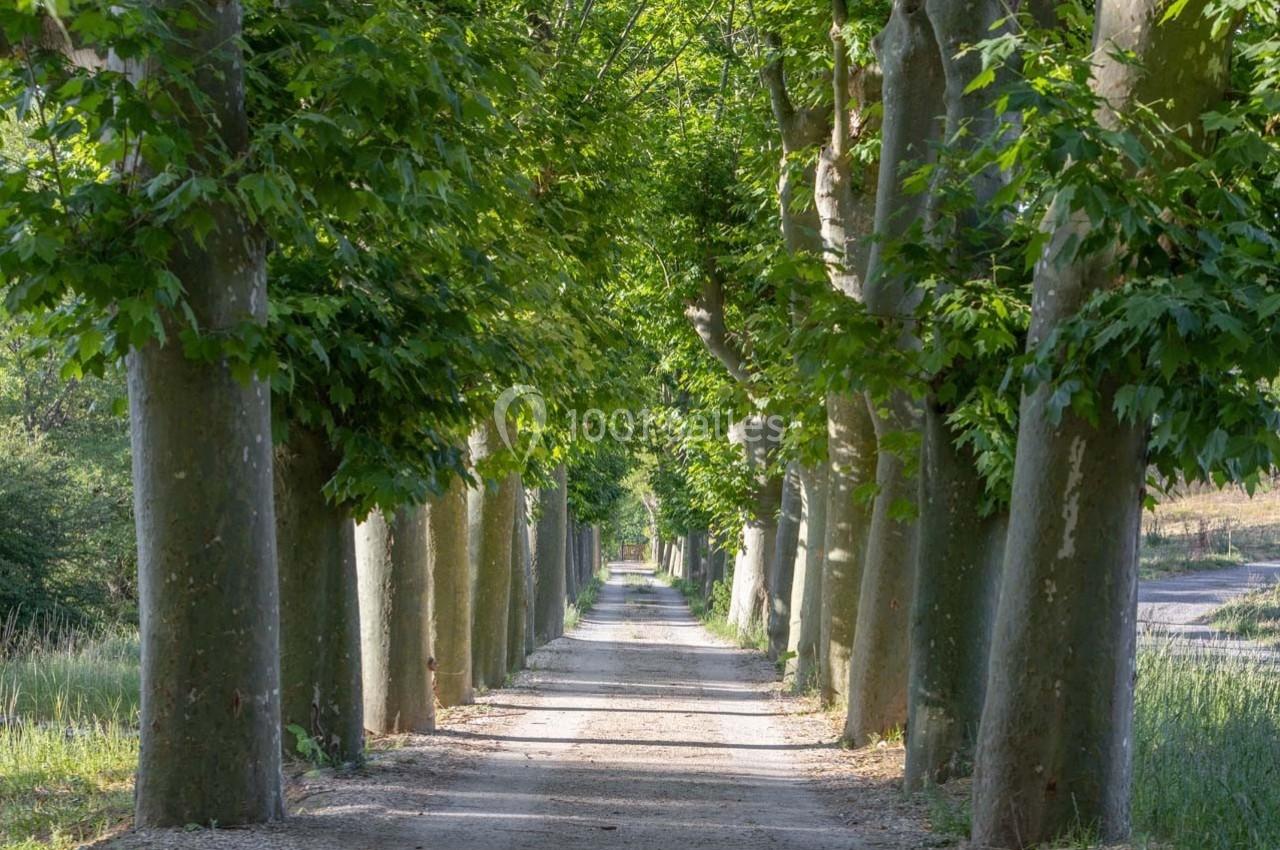 Location salle La Penne (Alpes-Maritimes) - Domaine la Plume #18